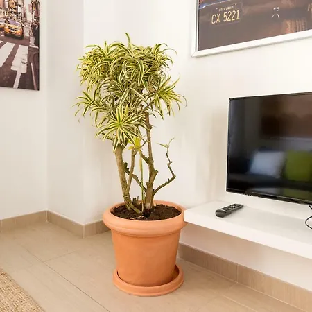 Apartment Ma1b-apt Next To Center, 2 Chillout Areas-palms *